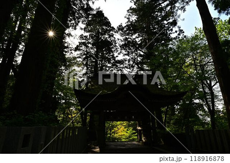 新緑の大神山神社 118916878