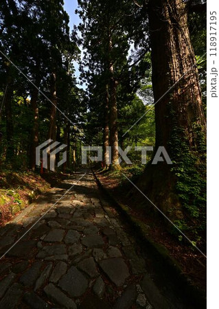 新緑の大神山神社 新緑の大神山神社 118917195