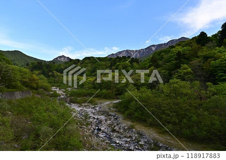 新緑の大山 118917883