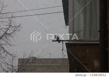 First snow in a Ukrainian city, a depressed post-Soviet city, Heavy snowfall in a dark gloomy poor city, Former Soviet Union  118918012