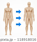 Gender transition from man to woman, concept vector illustration 118918016