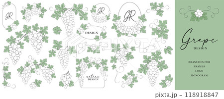 Decorative Grapevine Branches in Line Art for Design Elements, etc in a vector illustration Decorative Grapevine Branches in Line Art for Design Elements, etc in a vector illustration 118918847