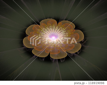 Imaginatory fractal abstract background Image Imaginatory fractal abstract background Image 118919098