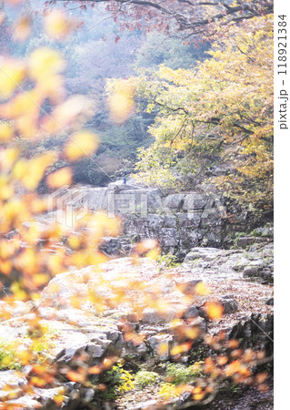 奥津渓の紅葉 奥津渓の紅葉 118921384
