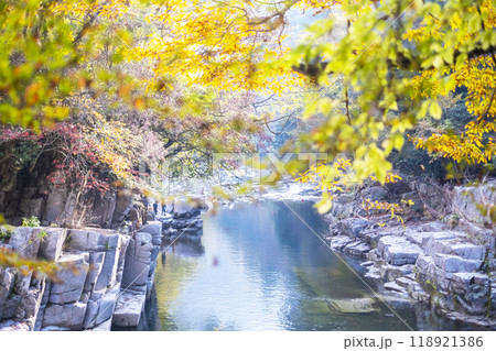 奥津渓の紅葉 118921386