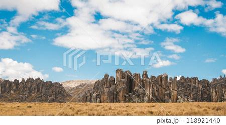 Huayllay Stone Forest, rocks eroded by the wind over the years creating stone figures. Pasco. Peru, Wide view 118921440
