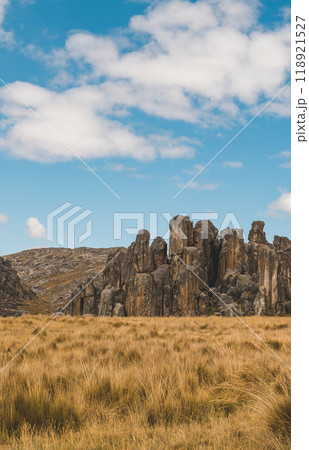 Huayllay Stone Forest, rocks eroded by the wind over the years creating stone figures. Pasco. Peru, Wide view Huayllay Stone Forest, rocks eroded by the wind over the years creating stone figures. Pasco. Peru, Wide view 118921527