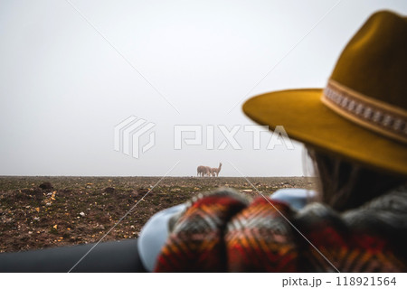A woman wearing a yellow hat is looking out at a herd of llamas, traveling through the peruvian andes 118921564