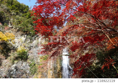 流れ落ちる滝と紅葉のコラボ 118922119