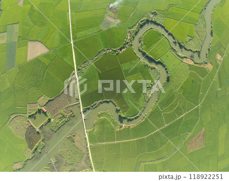 Top view Rice fields in harvest season,High angle view over countryside at northern Vietnam 118922251
