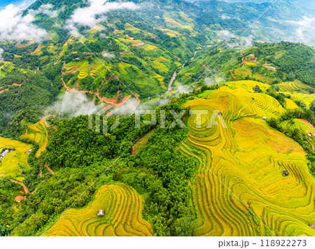 Drone aerial view of rice terrace field in harvest season,Green agricultural fields in countryside at northern Vietnam Drone aerial view of rice terrace field in harvest season,Green agricultural fields in countryside at northern Vietnam 118922273
