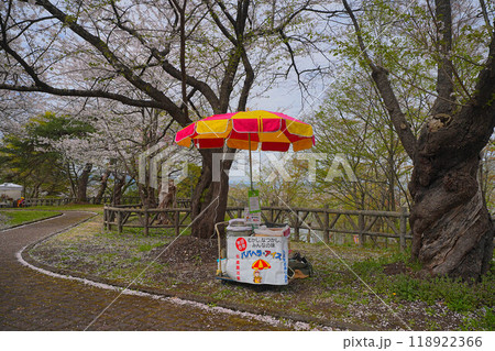 真人公園 118922366