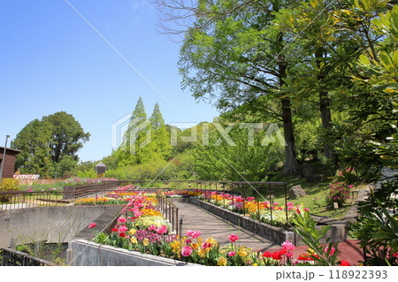 爽やか　春の植物園　 118922393