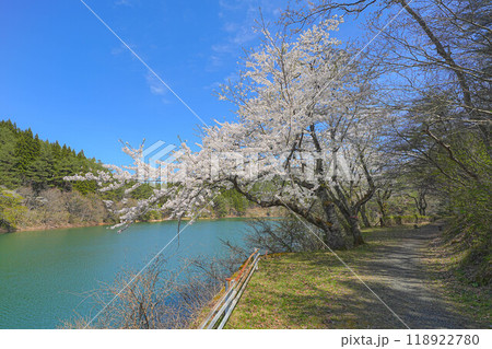 岩神ふれあいの森 岩神ふれあいの森 118922780