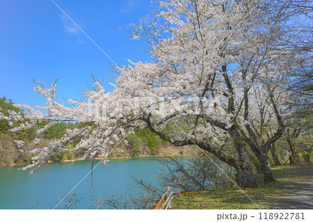 岩神ふれあいの森 118922781