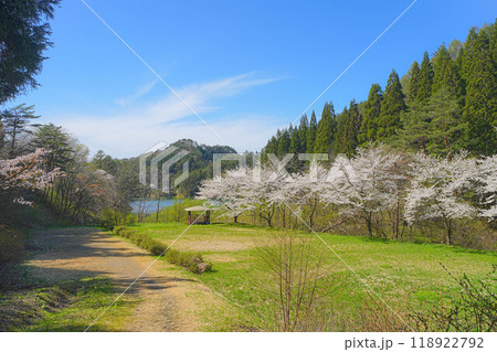 岩神ふれあいの森 118922792