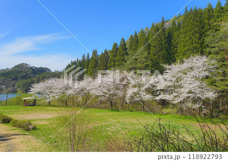 岩神ふれあいの森 岩神ふれあいの森 118922793