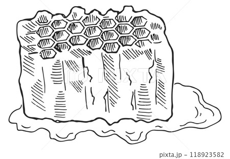 Beeswax sketch. Natural apiary product ink drawing 118923582