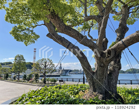 横須賀ヴェルニー公園　神奈川県横須賀市汐入町 118924292