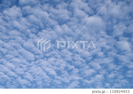 秋の雲 青空に浮かぶ巻積雲 鱗雲 鰯雲 秋の雲 青空に浮かぶ巻積雲 鱗雲 鰯雲 118924933