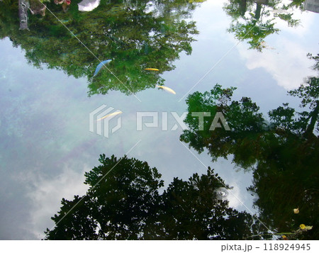 忍野八海 118924945