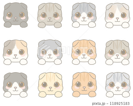 いろいろな表情の猫の顔のイラストセット スコティッシュフォールド いろいろな表情の猫の顔のイラストセット スコティッシュフォールド 118925183