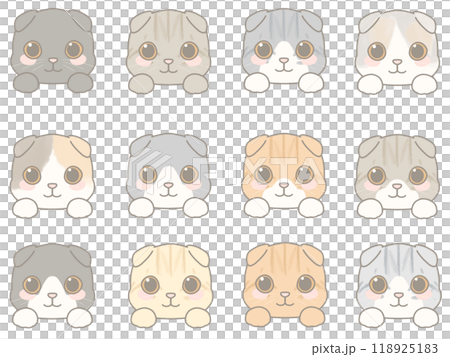 いろいろな表情の猫の顔のイラストセット スコティッシュフォールド いろいろな表情の猫の顔のイラストセット スコティッシュフォールド 118925183