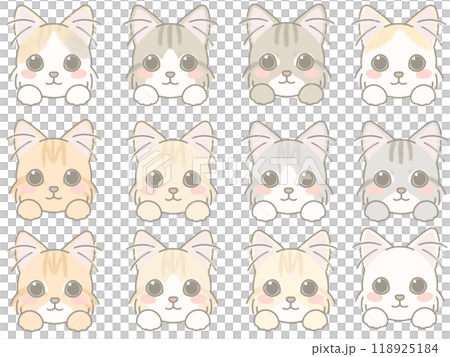 いろいろな表情の猫の顔のイラストセット 118925184
