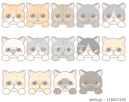 いろいろな表情の猫の顔のイラストセット　エキゾチックショートヘア 118925188