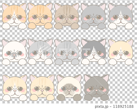 いろいろな表情の猫の顔のイラストセット　エキゾチックショートヘア 118925188