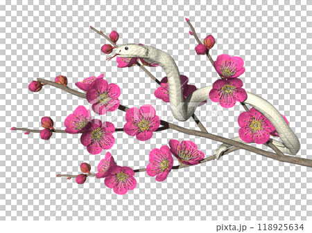 蛇年白蛇紅梅3DCG插畫素材 118925634