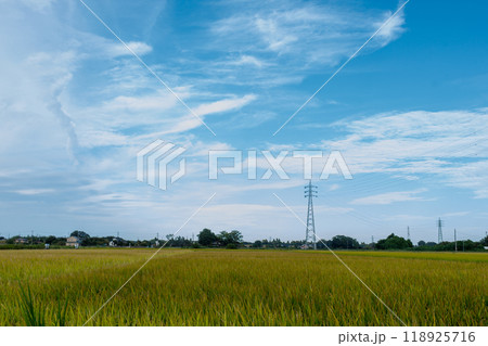 澄み切った秋の青空の風景 118925716
