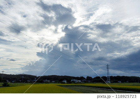 澄み切った秋の青空の風景 澄み切った秋の青空の風景 118925723