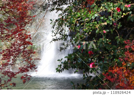 大阪府屈指の紅葉スポット 大阪府屈指の紅葉スポット 118926424