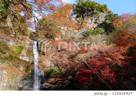 青空から降り注ぐような滝の勢い 118926427