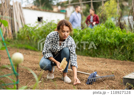 Woman is planting seeds in open ground 118927128