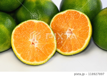 みかん(服部早生) みかん(服部早生) 118927897