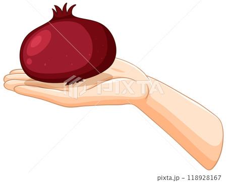 Hand Holding a Pomegranate Illustration Hand Holding a Pomegranate Illustration 118928167