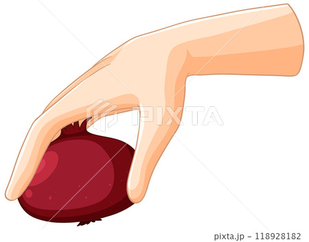 Hand Holding a Pomegranate Illustration Hand Holding a Pomegranate Illustration 118928182
