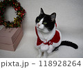サンタクロース姿になったハチワレ猫 118928264