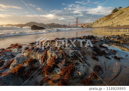 Golden Gate Bridge and Pacific Ocean Golden Gate Bridge and Pacific Ocean 118928993