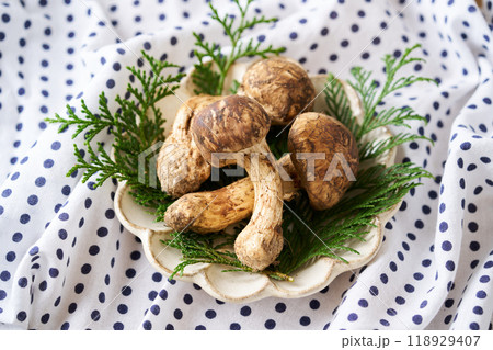 皿に盛り付けた松茸 118929407