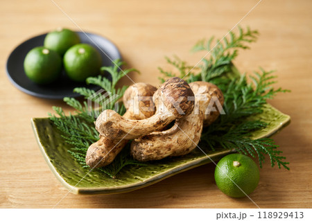 皿に盛り付けた松茸 118929413