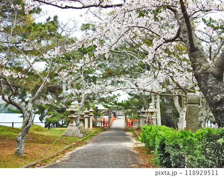 山口県宇部市の人気観光スポットときわ公園の春 118929511