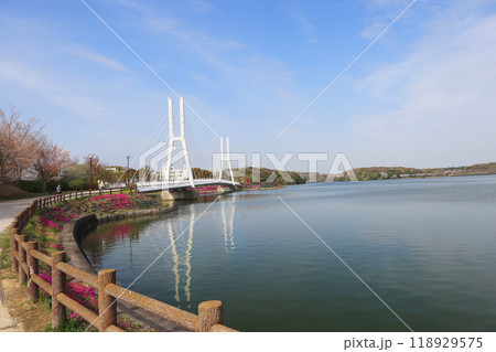 山口県宇部市の人気観光観光スポットときわ公園白鳥大橋 山口県宇部市の人気観光観光スポットときわ公園白鳥大橋 118929575