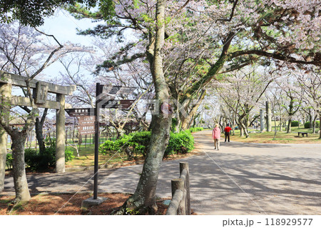 山口県宇部市の人気観光観光スポットときわ公園にある常盤神社 118929577