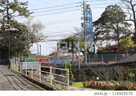 山口県宇部市の人気観光スポットときわ公園の写真素材 [118929578] - PIXTA