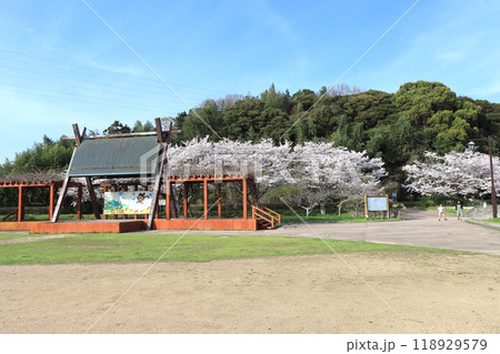 山口県山陽小野田市にある厚狭川河畔寝太郎公園の春 118929579