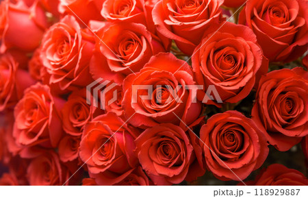 Close-up view of bright red roses bouquet, detailed petal texture visible, symbol of love and romance, natural floral backdrop for celebrations, weddings, anniversaries, and special event 118929887