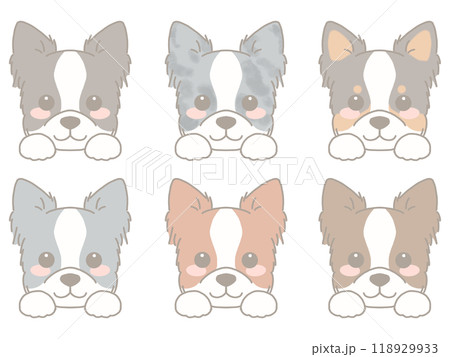 いろいろな犬の顔セット　ボーダーコリー 118929933